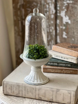 14.75" Arrington Cloche