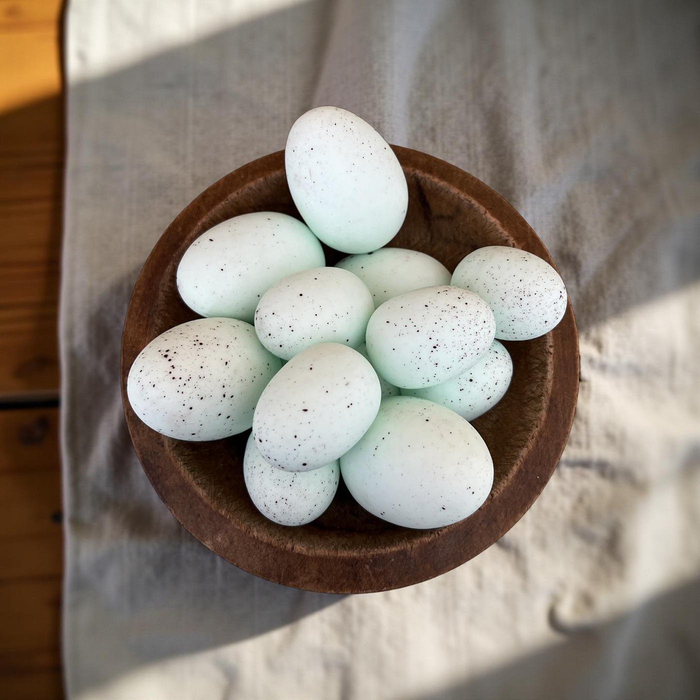 Set of 12 Robin Blue Eggs