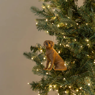 4.75" Sitting Labrador Ornament