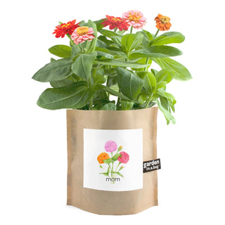 Mom Garden in a Bag