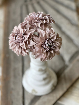 Damask Dahlia Bundle - Greige