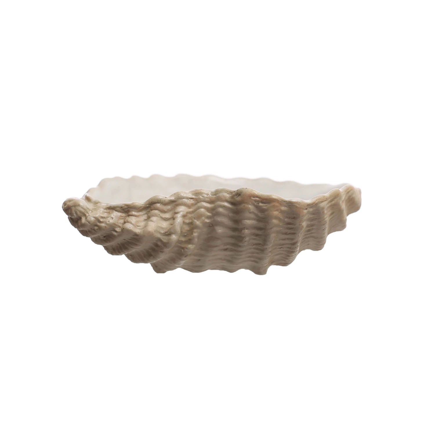 Shell Crete Ceiling Stoneware Oyster Shell Dish – Cotton & Crete