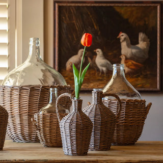 17" Estate Garden Tulip - Orange