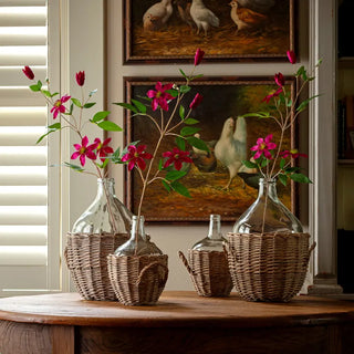 35" Magenta Clematis