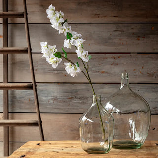 41.5" Bougainvillea Stem - White