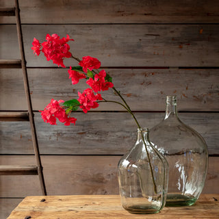 41.5" Bougainvillea Stem - Pink