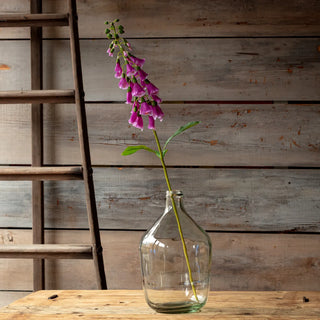 36.5" Purple English Foxglove Stem