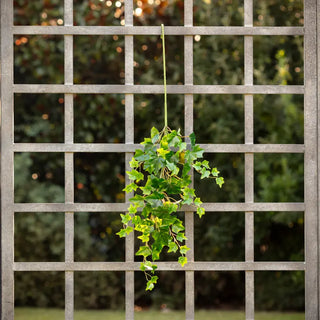 36" English Ivy Stem