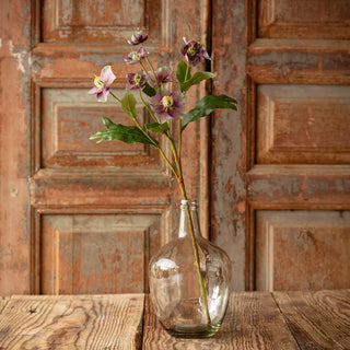 27" Lavender Hellebore Stem