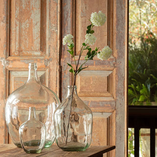 35" Snowball Viburnum - White