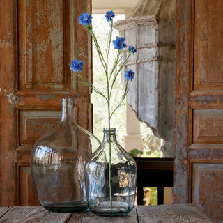 35.5" Blue Bachelor Button