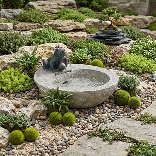 Prince Frog Fountain