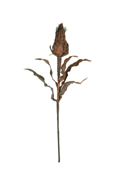 38.5" Rustic Protea Stem