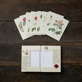 Rose Design Card Collection