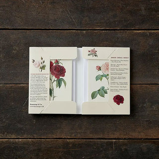 Rose Design Card Collection