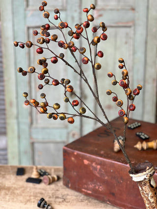 36" Riddle Berry Stem