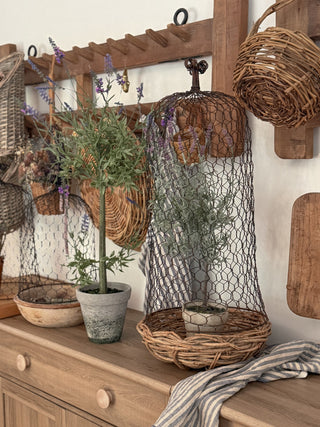 Set of 3 Rustic Wire Cloches