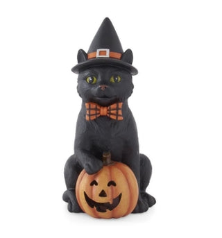 Witch Hat Black Cat & LED Jack O’ Lantern with Timer