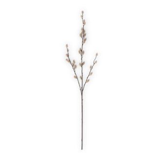 33" Tan Pussy Willow Stem