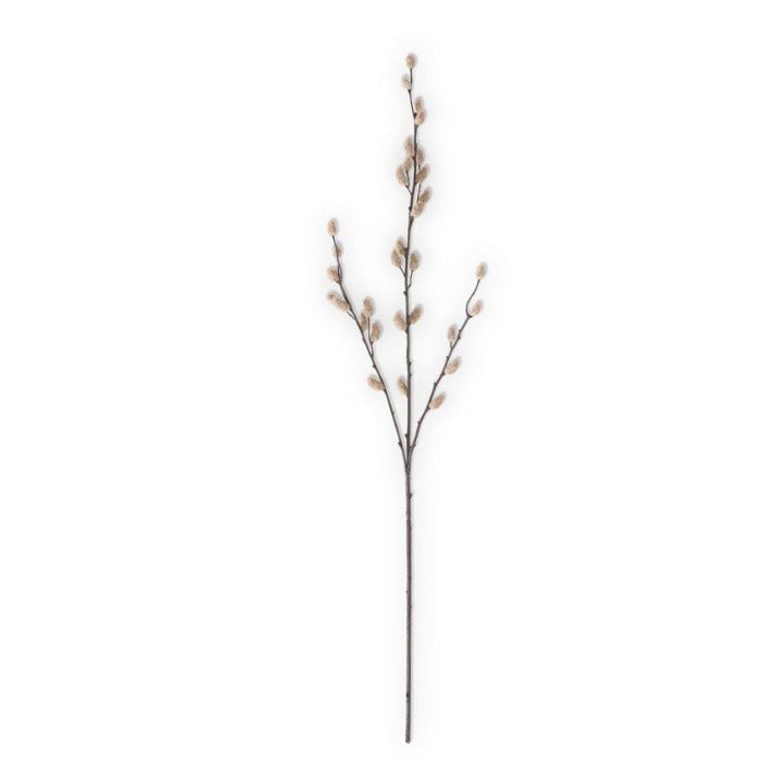 33" Tan Pussy Willow Stem