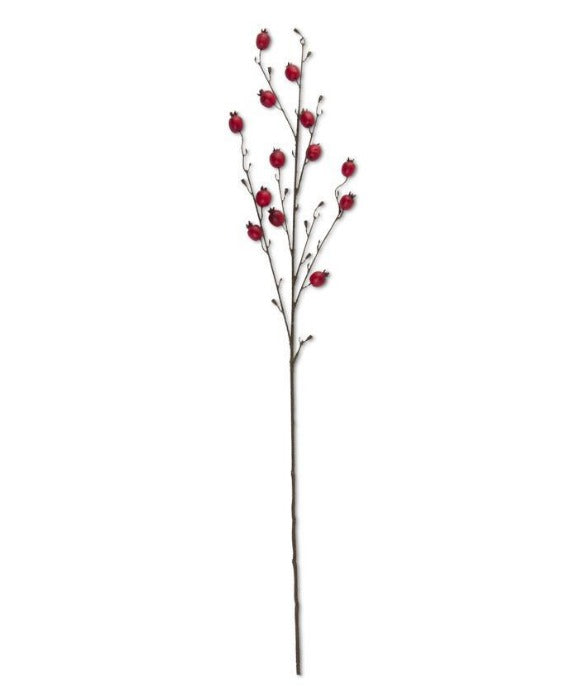 41" Red Rosehip Stem