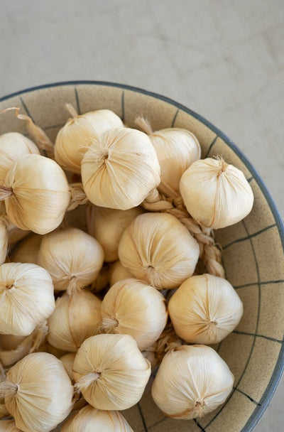 String of Artificial Garlic