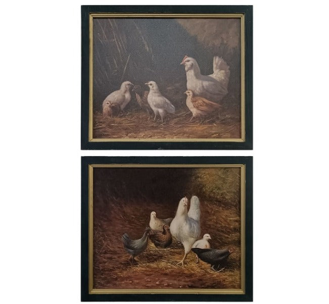 Set of 2 Framed Chicken Prints