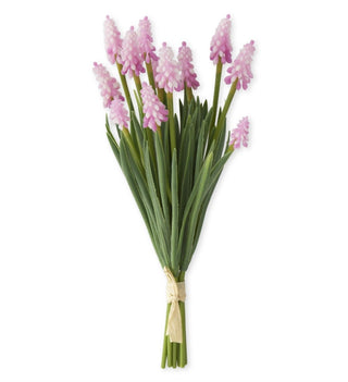 10.5" Grape Hyacinth Bundle - Choose Color