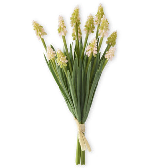 10.5" Grape Hyacinth Bundle - Choose Color