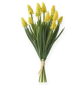 10.5" Grape Hyacinth Bundle - Choose Color