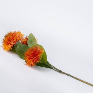 34" Orange Pohutukawa Stem