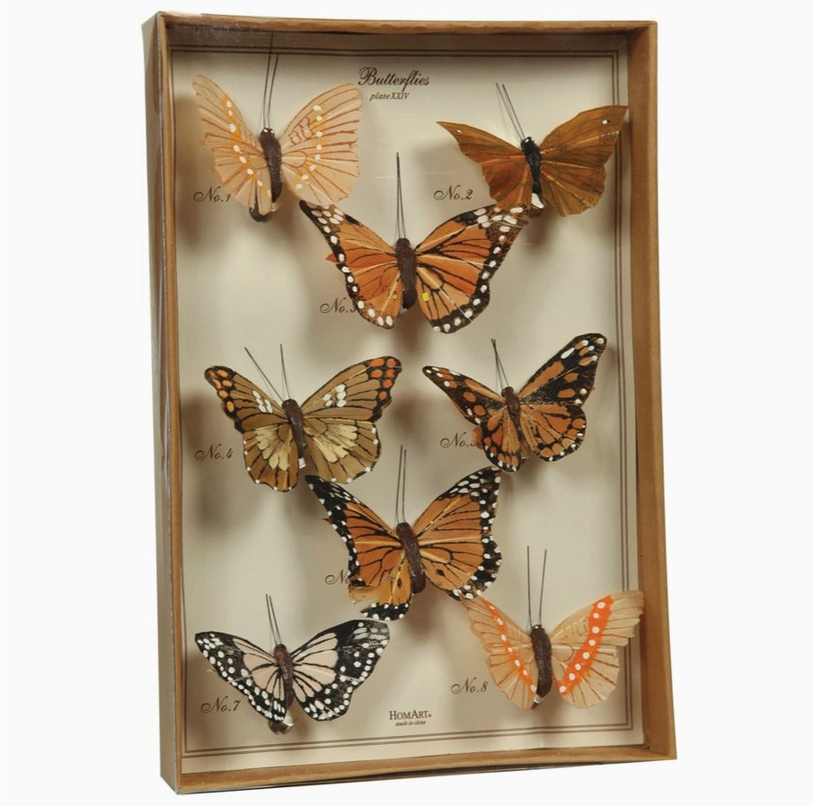 Set of 8 Hand Painted Butterflies