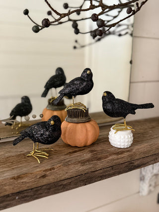 Set of 3 Glittered Blackbirds