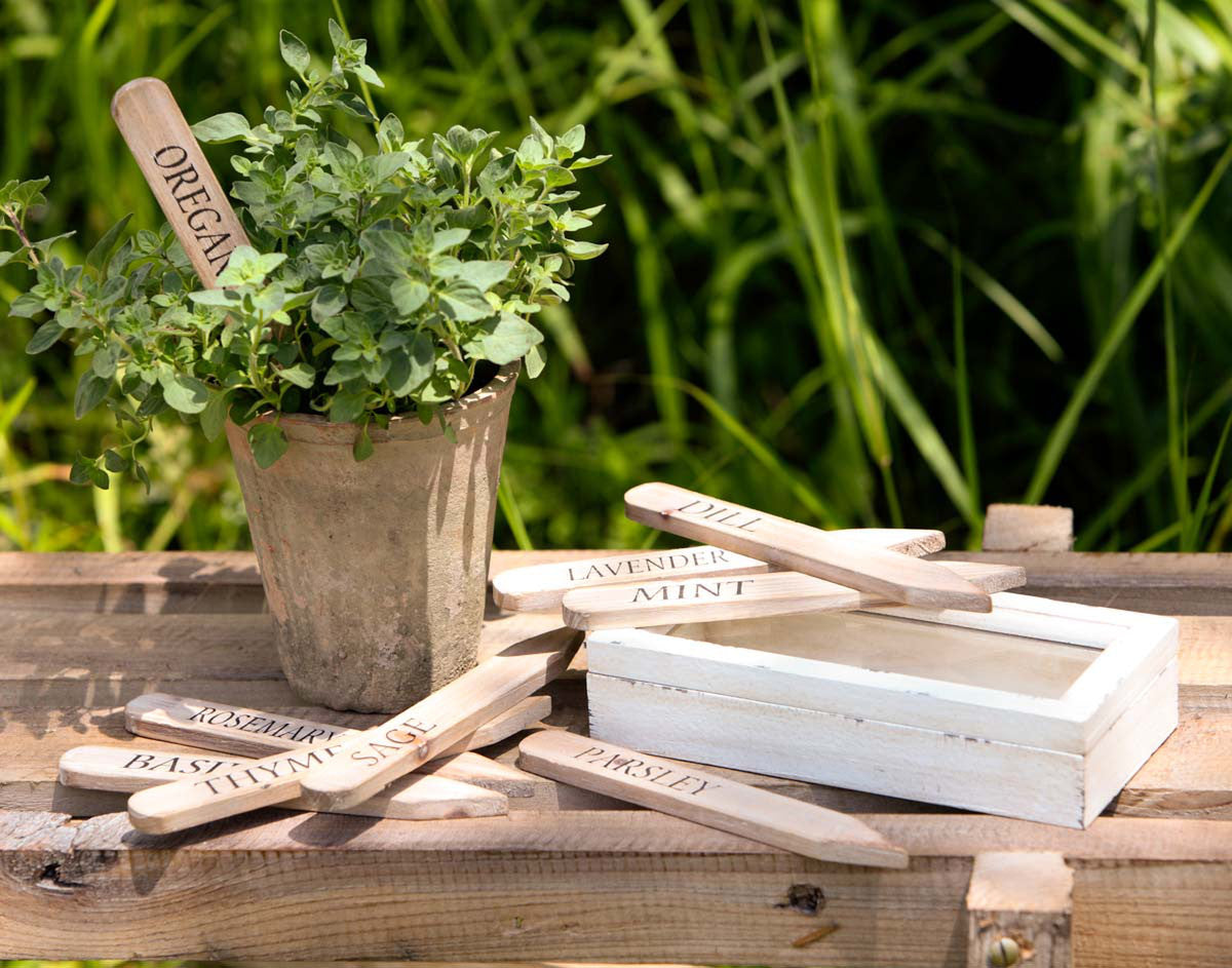 Set of 9 Herb Plant Stakes in Wooden Box