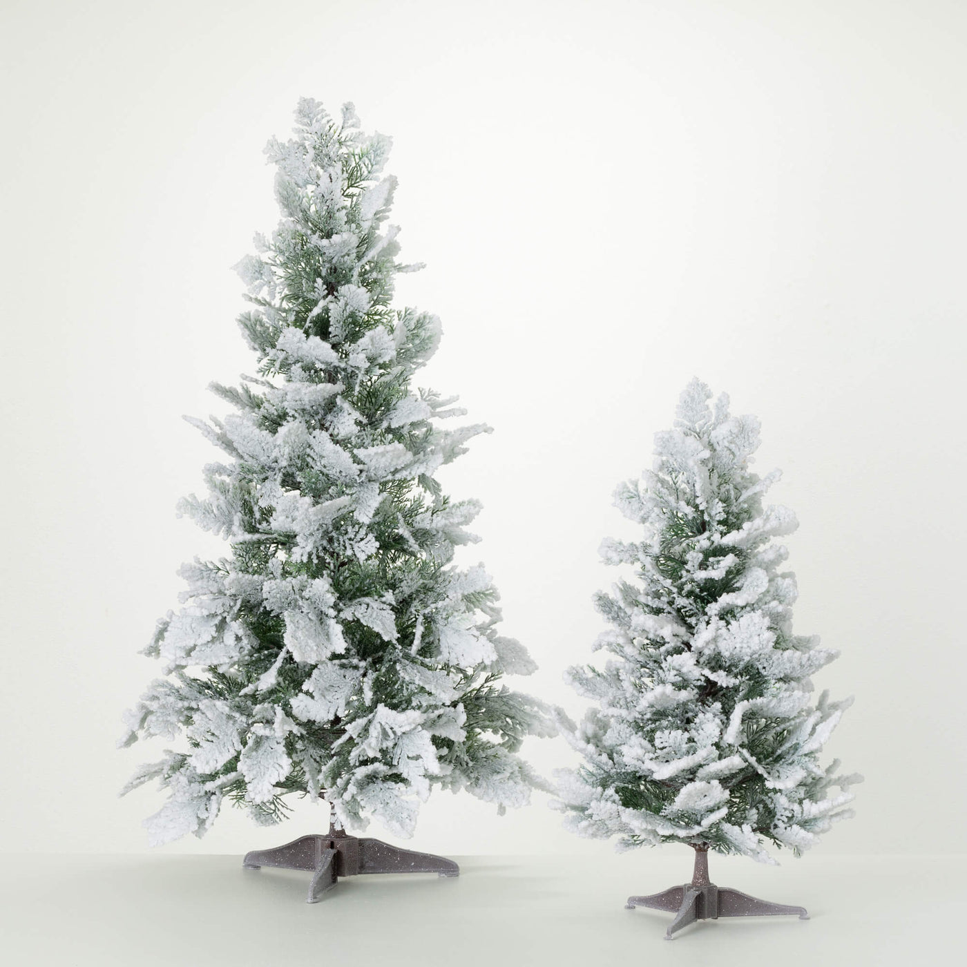 Snowy Cedar Accent Tree - Choose Size