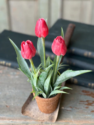 12" Hollan Tulip Pot - Red