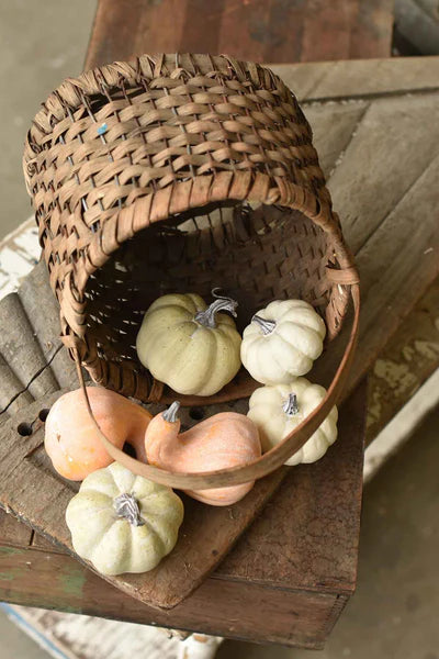Fall's Folly Mini Pumpkins Set of 6