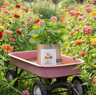 Thank You Garden in a Bag