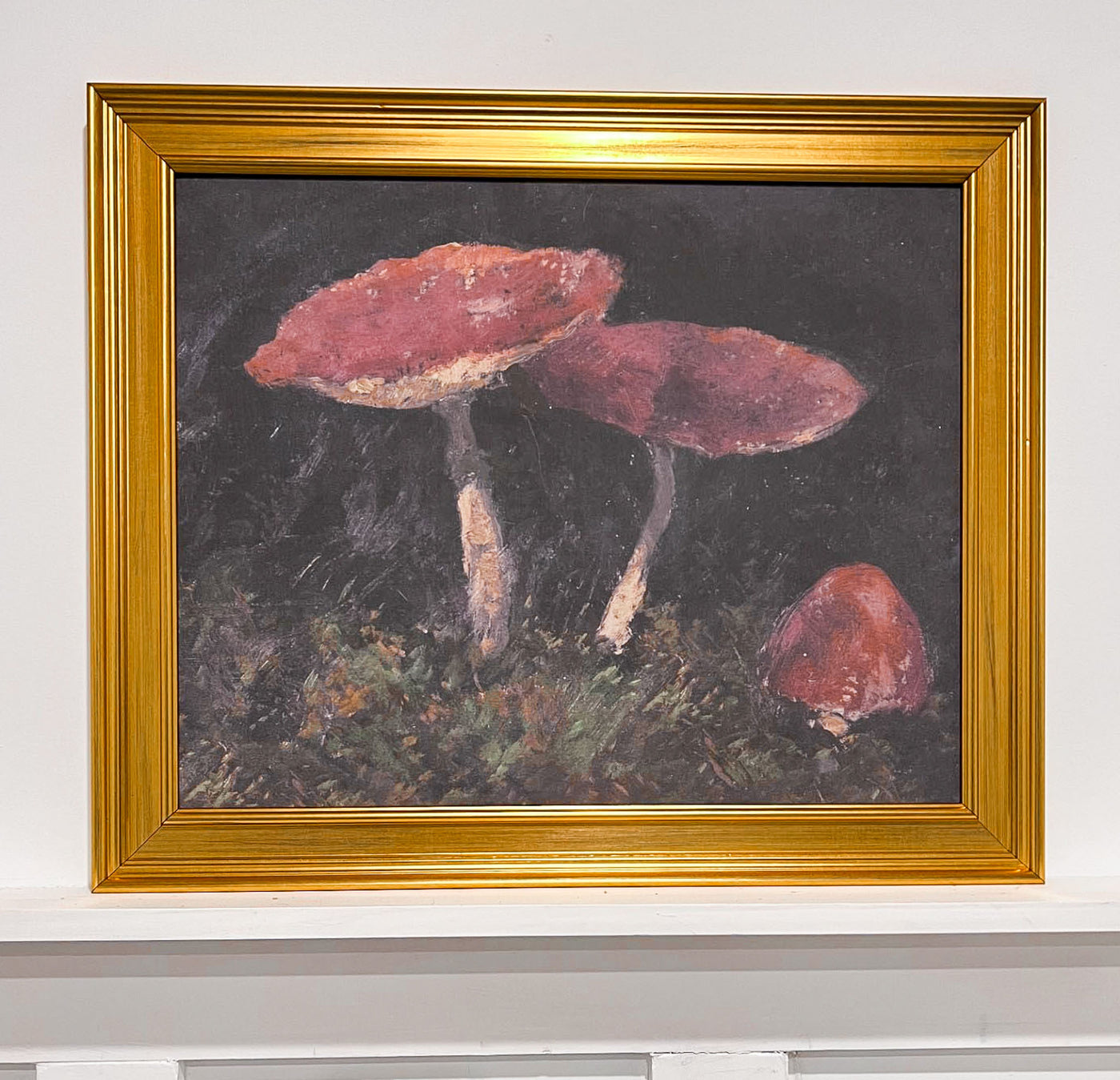 20" x 23.25 Framed Artwork - Vintage Mushrooms