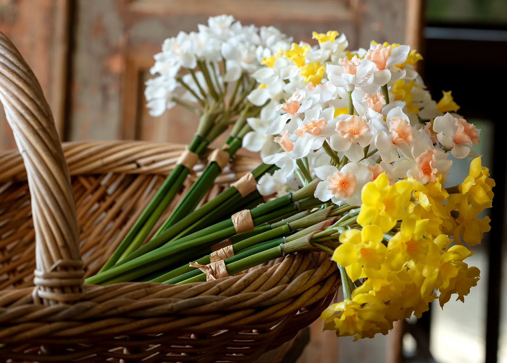 New Arrivals Cotton & Crete