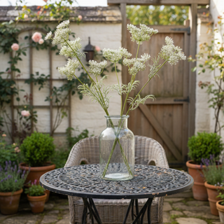 32" Wild Queen Anne's Lace Stem - White
