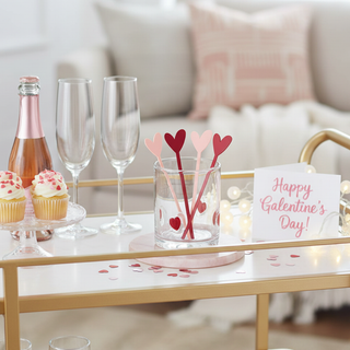 Set of 4 Heart Acrylic Stir Sticks