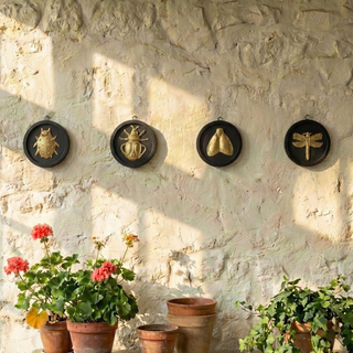 Round Framed Brass Insects - Choose Style