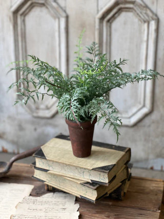 14" Foundry Potted Fern