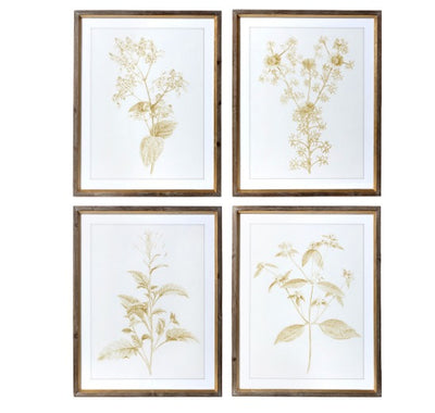 Set of 4 Sepia Botanical Framed Prints
