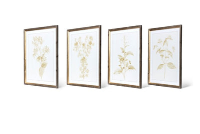 Set of 4 Sepia Botanical Framed Prints