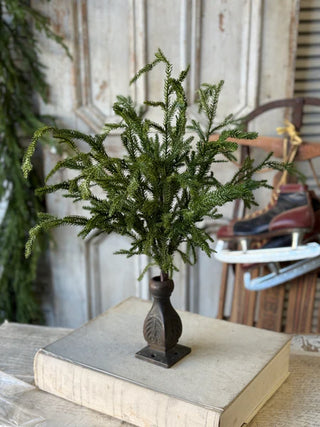20" Greenwood Valley Bush