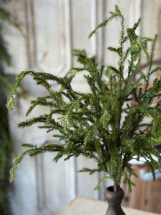 20" Greenwood Valley Bush
