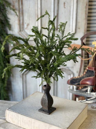 20" Greenwood Valley Bush