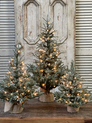 Pine Snow Tree - Choose Size